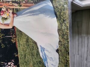 David's bridal wedding dress st tropez size 12 with hooks for train vintage y2k